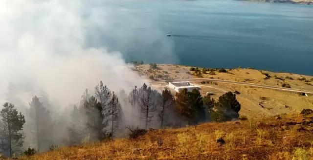 Elazığ'daki orman yangını söndürüldü