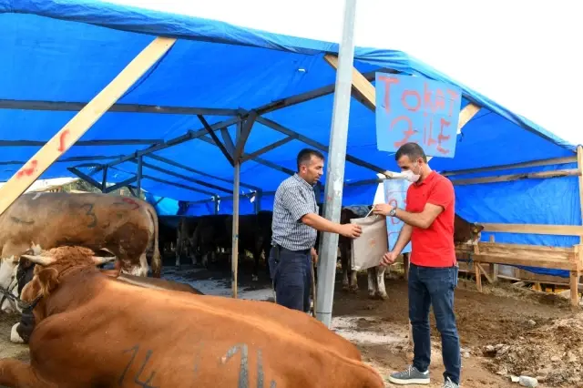 Esenyurt'ta Kurban Bayramı'nda tüm ekipler sahada