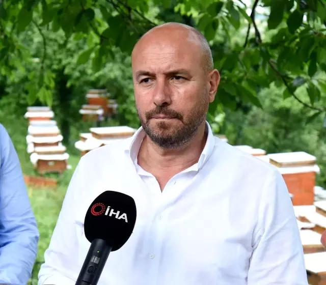 Fındığa alternatif salep: 1 m2 salep 1 dönüm fındığa eş değer