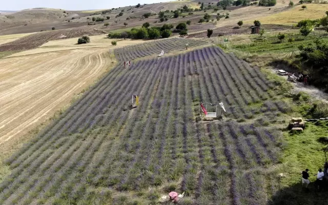 Fransa'dan gelirken getirdiği 1 avuç tohumla kendi işini kurdu
