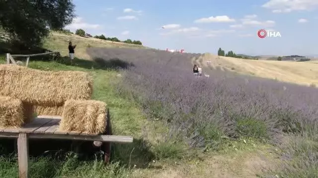 Fransa'dan gelirken getirdiği 1 avuç tohumla kendi işini kurdu