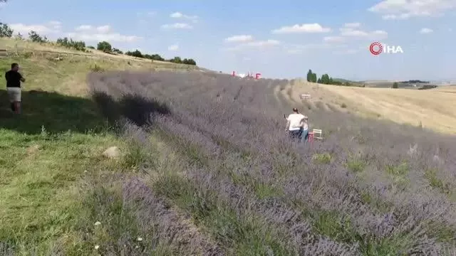 Fransa'dan gelirken getirdiği 1 avuç tohumla kendi işini kurdu