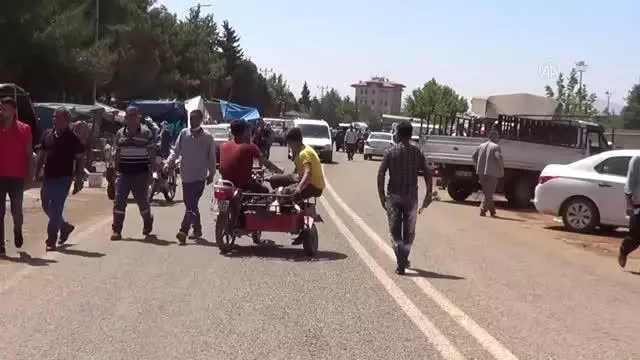 GAZİA NTEP - Hayvan pazarlarında Kurban Bayramı hareketliliği sürüyor
