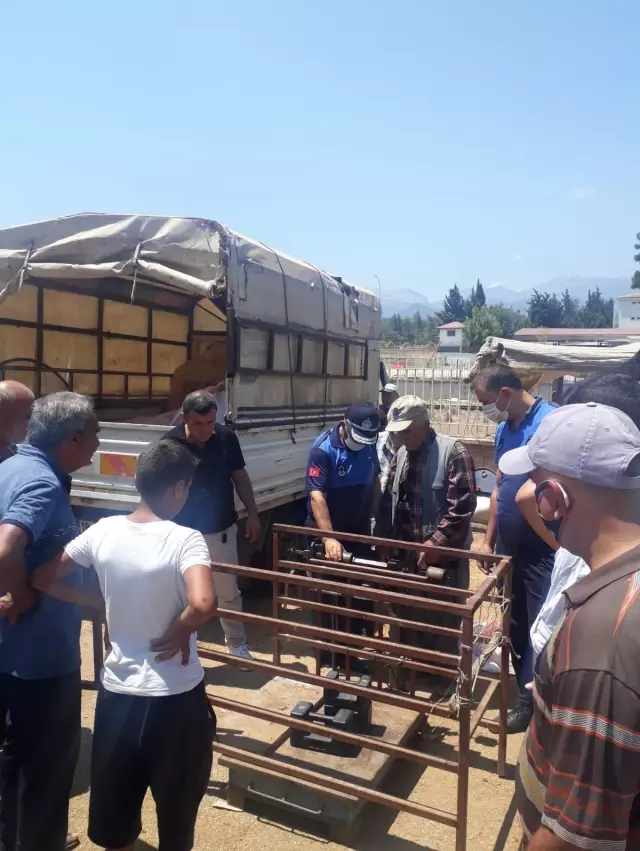 Gaziantep ve Kahramanmaraş'ta zabıta denetimi Gaziantep ve Kahramanmaraş'ta zabıta denetimi