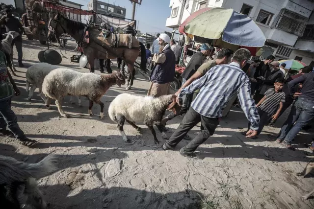 Gazzeliler kötüleşen ekonomik şartlara rağmen kurban kesebilmek için tüm imkanlarını zorluyor