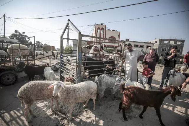 Gazzeliler kötüleşen ekonomik şartlara rağmen kurban kesebilmek için tüm imkanlarını zorluyor