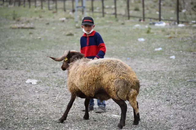 Hafta boyunca sağanak görülen Doğu Anadolu'da sıcaklıklar artıyor Hafta boyunca sağanak görülen Doğu Anadolu'da sıcaklıklar artıyor