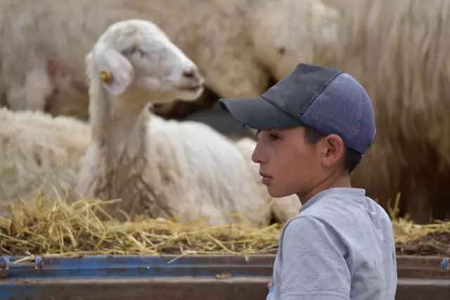Hafta boyunca sağanak görülen Doğu Anadolu'da sıcaklıklar artıyor