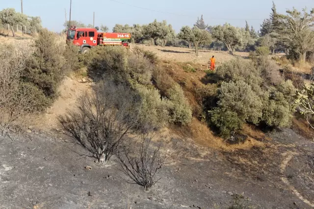 Son dakika haber... Belen'de tarım arazisinde çıkan yangın kontrol altına alındı