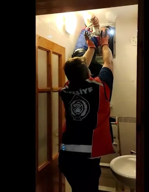 Havalandırma boşluğundan gelen sesleri fark ettiler, 3 yavru kurtarıldı