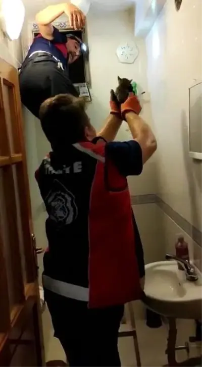 Havalandırma boşluğundan gelen sesleri fark ettiler, 3 yavru kurtarıldı