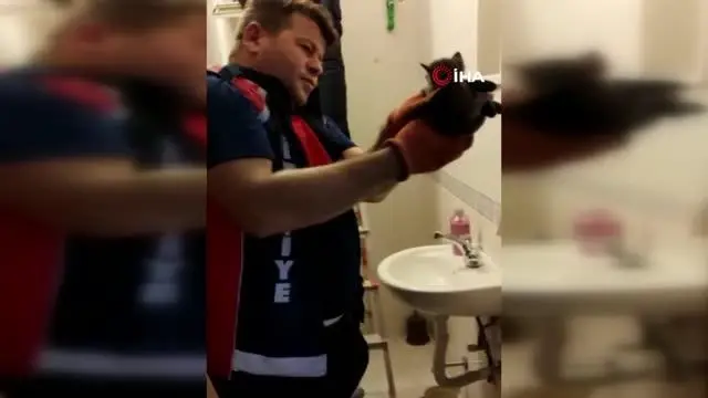 Havalandırma boşluğundan gelen sesleri fark ettiler, 3 yavru kurtarıldı