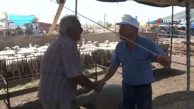 Hayvan pazarında son gün dampingi