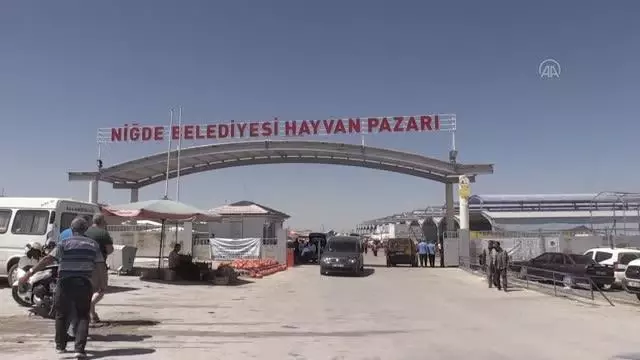 Hayvan pazarında yoğunluk arttı Hayvan pazarında yoğunluk arttı