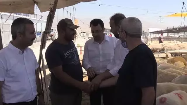 Hayvan pazarında yoğunluk arttı