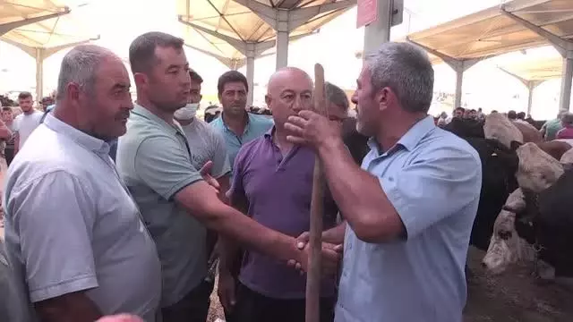 Hayvan pazarında yoğunluk arttı