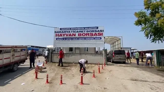 Hayvan pazarındaki kurbanlıklar alıcılarını bekliyor Hayvan pazarındaki kurbanlıklar alıcılarını bekliyor