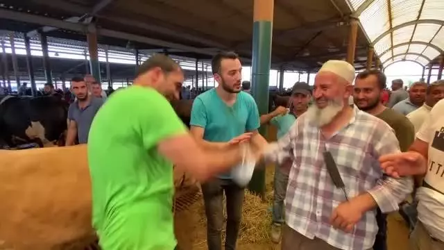 Hayvan pazarındaki kurbanlıklar alıcılarını bekliyor