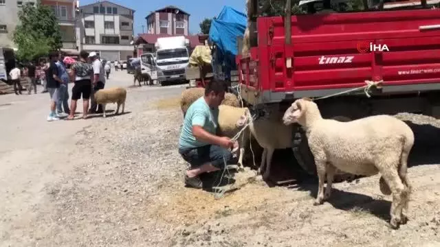 Hayvan pazarını pandemi vurdu, esnafın yüzü gülmedi
