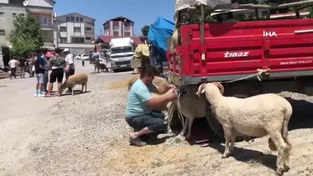 Hayvan pazarını pandemi vurdu, esnafın yüzü gülmedi