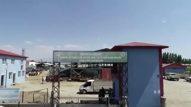 Hayvan pazarlarında arife günü yoğunluğu