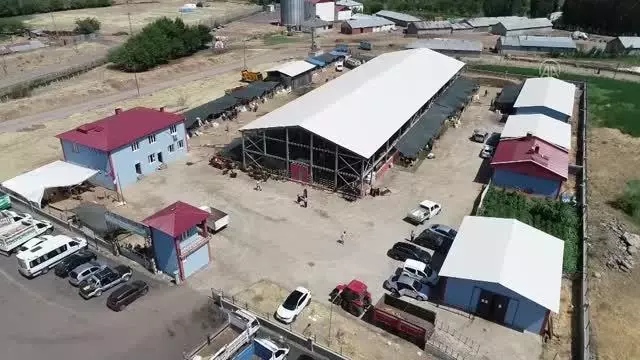 Hayvan pazarlarında arife günü yoğunluğu