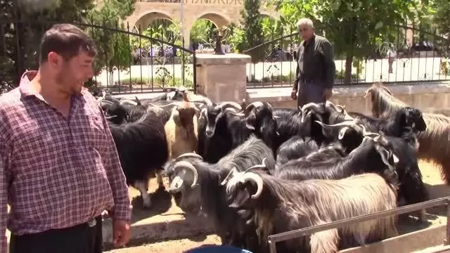 Hayvan pazarlarında hareketlilik
