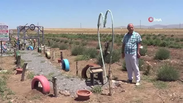 Hüdai Kaplıcalarındaki oteller alternatif tıp bitkilerini üretiyor