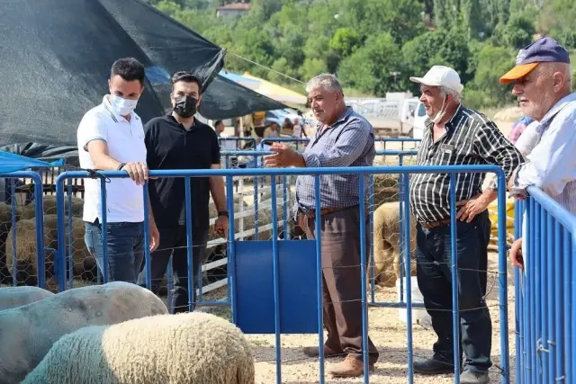 İl Tarım ve Orman Müdürü Yoldaş, Pazaryeri'ndeki kurbanlık pazarını ziyaret etti