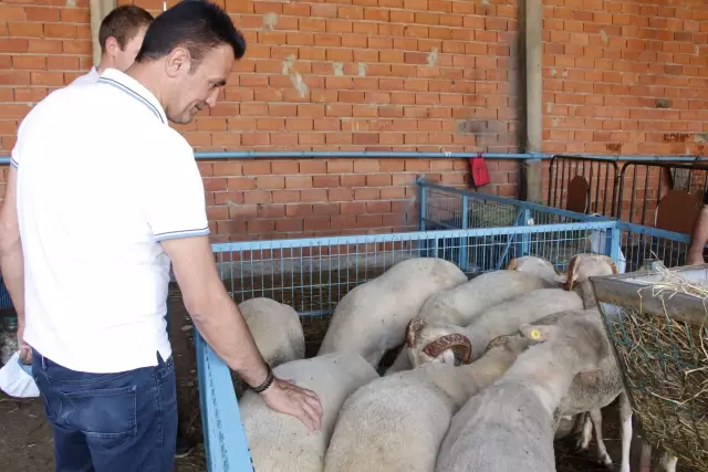İl Tarım ve Orman Müdürü Yoldaş, Pazaryeri'ndeki kurbanlık pazarını ziyaret etti