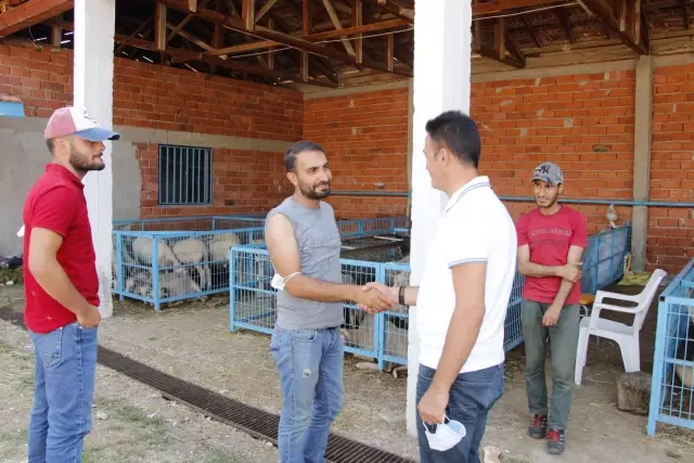 İl Tarım ve Orman Müdürü Yoldaş, Pazaryeri'ndeki kurbanlık pazarını ziyaret etti
