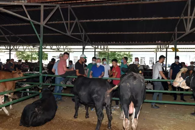 Isparta'da engelli ve yaşlıların kurban kesim işlemini belediye yapacak