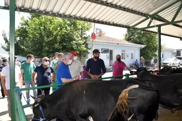 Isparta'da engelli ve yaşlıların kurban kesim işlemini belediye yapacak