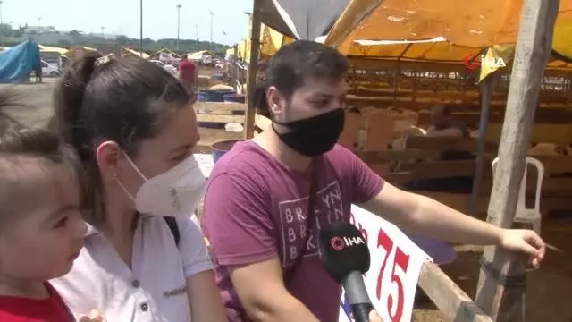 İstanbul İl Tarım ve Orman Müdürlüğü'nden kurban pazarında denetim