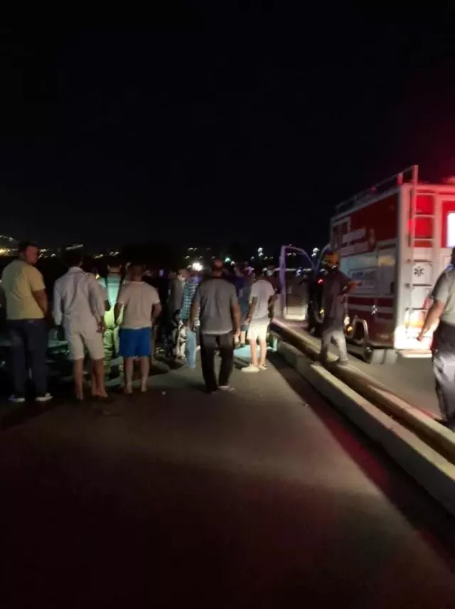 İzmir'de otomobil koyun sürüsüne daldı