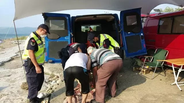 İznik Gölü'nde bulunan sütun başlığı müze yetkililerine teslim edildi