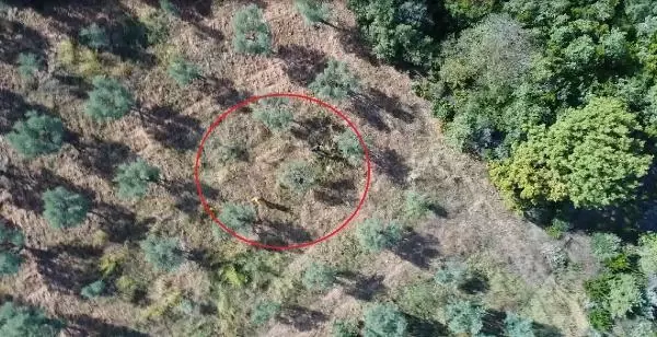 Kaçak avcılar dronla yakalandı