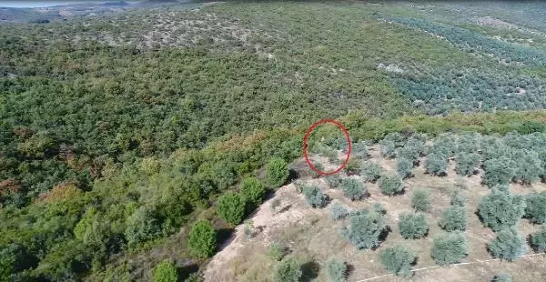 Kaçak avcılar dronla yakalandı Kaçak avcılar dronla yakalandı
