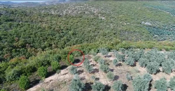 Kaçak avcılar dronla yakalandı