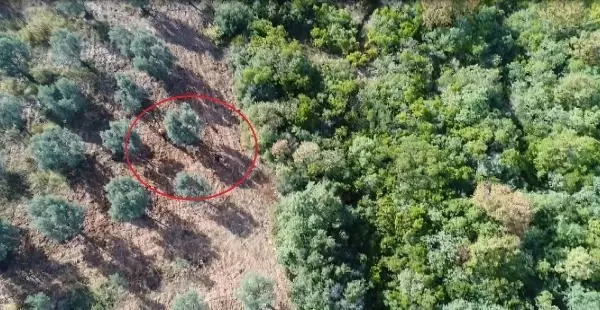 Kaçak avcılar dronla yakalandı