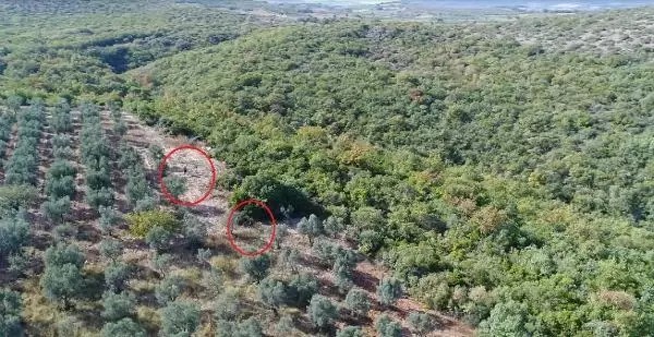 Kaçak avcılar dronla yakalandı