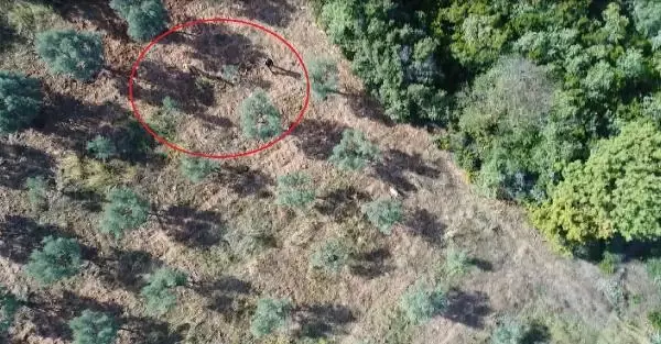 Kaçak avcılar dronla yakalandı