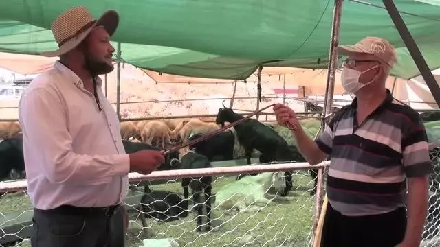 KAHRAMANMARAŞ - Hayvan pazarlarında arife günü hareketliliği KAHRAMANMARAŞ - Hayvan pazarlarında arife günü hareketliliği