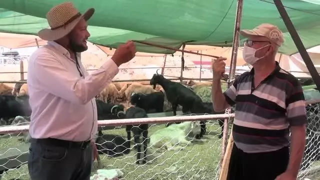 KAHRAMANMARAŞ - Hayvan pazarlarında arife günü hareketliliği