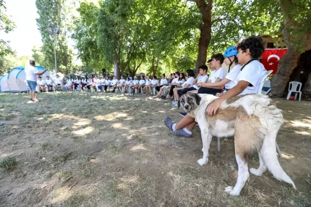 Kamp tutkunlarının yeni gözdesi İzcilik Merkezi