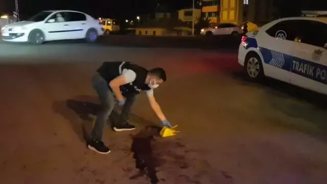 Kamyonetin çarptığı yaya yaşamını yitirdi