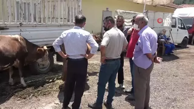 Karabük'te hayvan pazarında Arife Günü hareketliliği Karabük'te hayvan pazarında Arife Günü hareketliliği