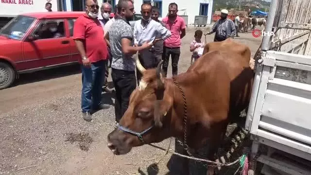 Karabük'te hayvan pazarında Arife Günü hareketliliği