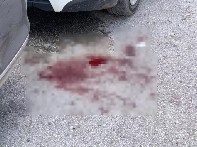 Kars'ta taşlı sopalı 'hayvan otlatma' kavgası: 8 yaralı