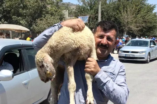 Kurbanlıkların motosikletle taşındığı anlar ilginç görüntülere sahne oldu